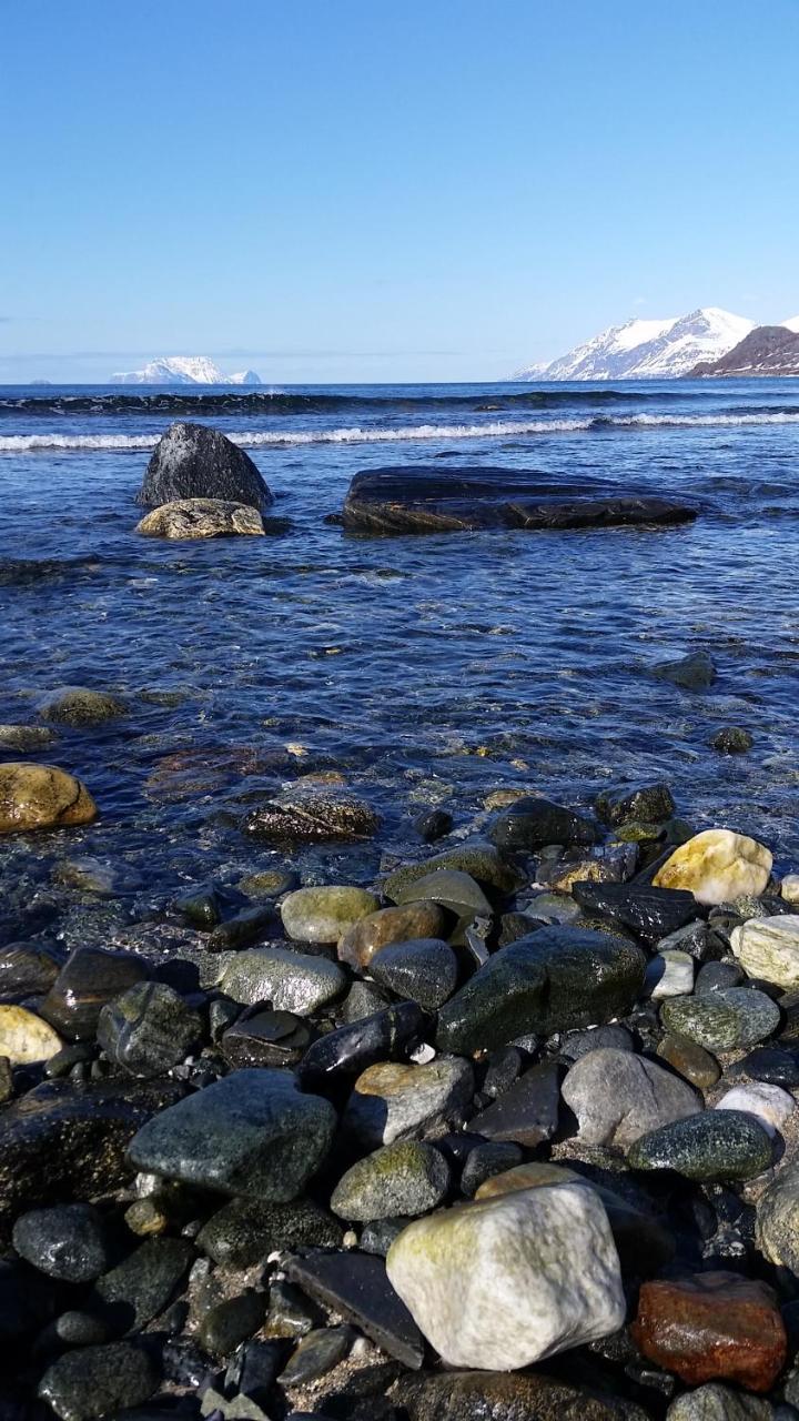 Вілла Lyngen Fjordcamp Nord-Lenangen Екстер'єр фото